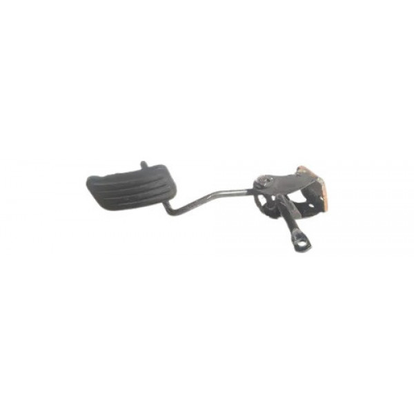 Pedal Acelerador Picasso 01 02 03 