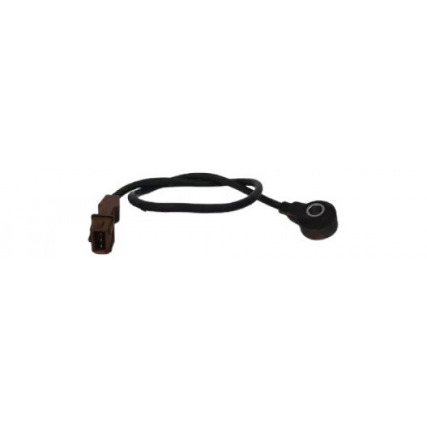 Sensor Detonação Do Volkswagen Passat V6 2.8 B5 2001 A 2004