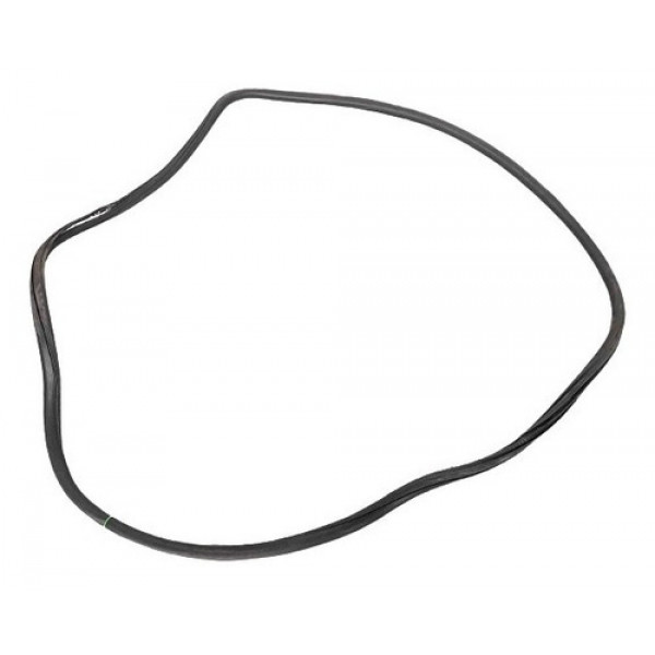 Borracha Porta Dianteira Direito Volkswagen Passat B5 2001