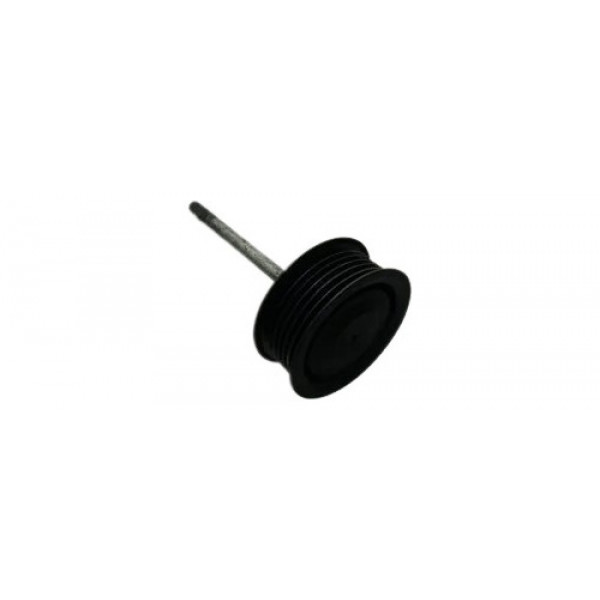 Polia Correia Mercedes E320 A0002020019